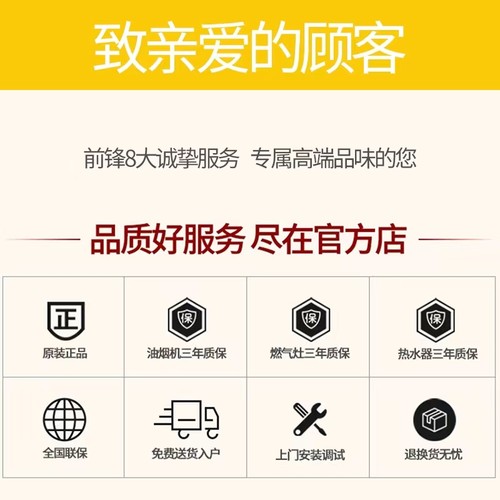 前锋 JSQ25/30- T301家用燃气热水器强排智能恒温天然气13升16升 - 图2