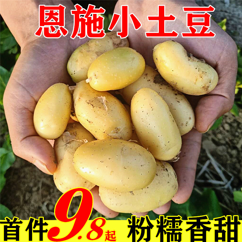 湖北恩施现挖新鲜土豆5斤土豆农产品农家黄心马铃薯大蔬菜洋芋10