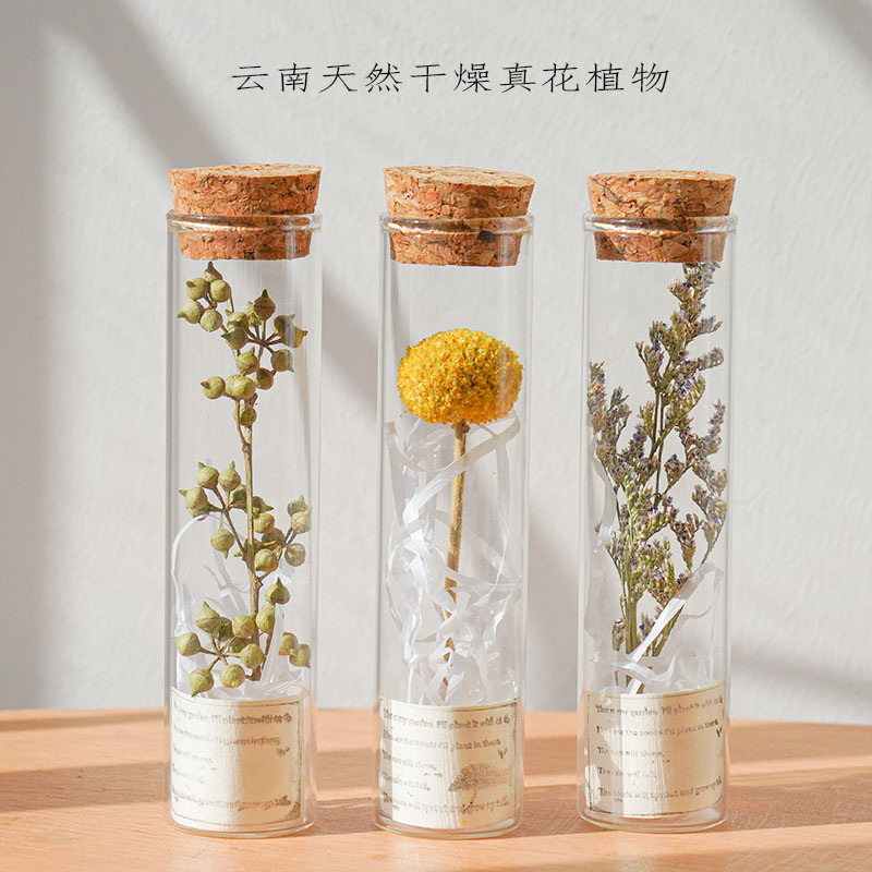 玻璃试管干花花束永生植物标本许愿星花瓶装饰送圣诞生日新年礼物 - 图0