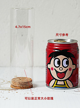 装玫瑰干花玻璃ins风空瓶