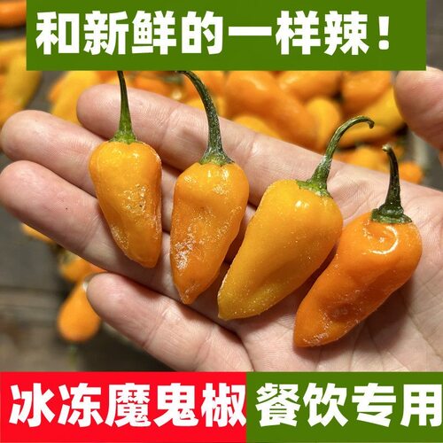 【冰冻魔鬼椒】福建永安黄椒非海南灯笼小米辣剁椒特辣肉片辣椒水 - 图1