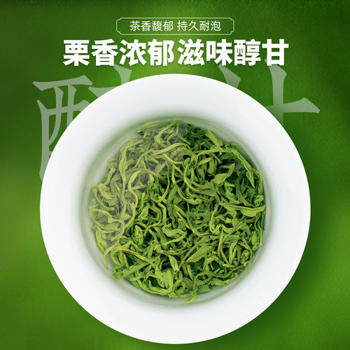 2025新茶汉中宁强毛尖千山茶业高山云雾浓香型散装炒青250g茶叶 - 图1
