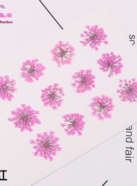 diy干花手机壳笔记本烟灰缸