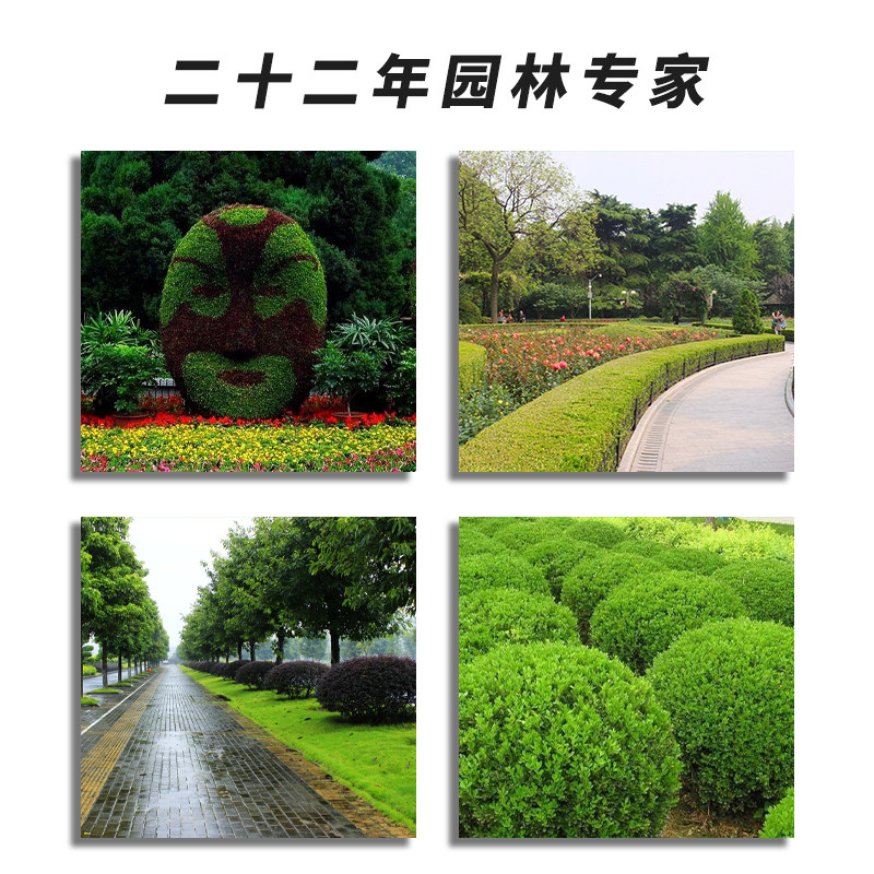 兰芝6500h可调节弧形可变式绿篱机 aomaik奥玛克其他机械五金（新）