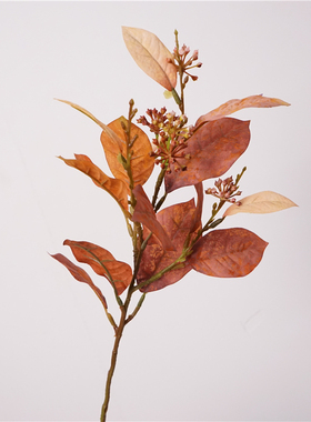 网红秋色玉兰叶仿真叶子造景插花装饰花绢布室内逼真假花摆件批发