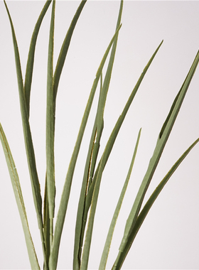单枝爱丽丝叶 仿真花兰假花居家摆设花艺装饰品摄影道具花材插花