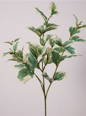 现代简约高仿真植物装饰叶子香草叶六月雪插花配叶办公室绿植摆件