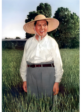 防水通用伟人照片怀旧装饰画复古