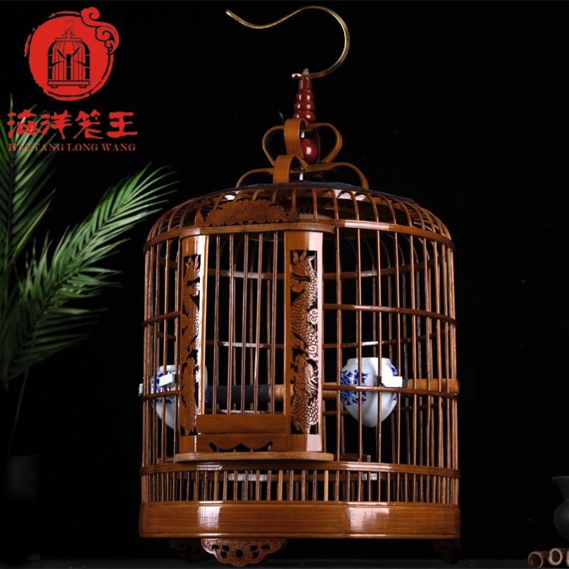 花八哥鸟 新人首单立减十元 21年7月 淘宝海外 花八哥鸟 新人首单立减十元 21年7月 淘宝海外