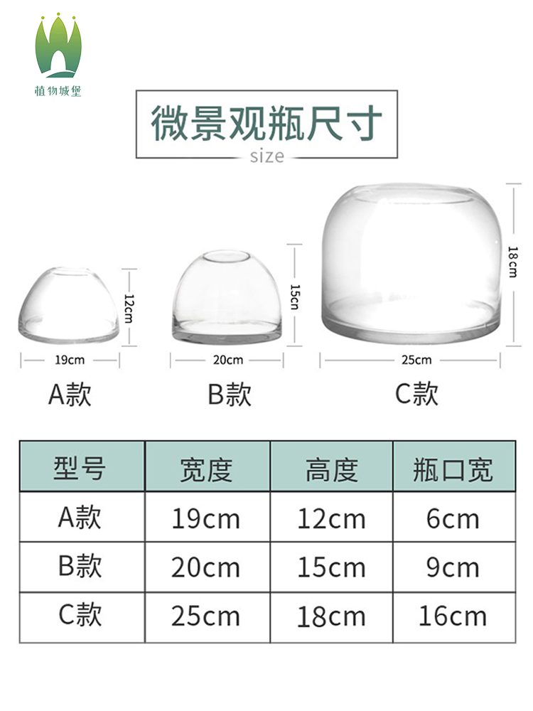 苔藓缸闷养盆器微景观玻璃容器微观生态瓶玻璃瓶花盆带灯微景瓶 - 图1