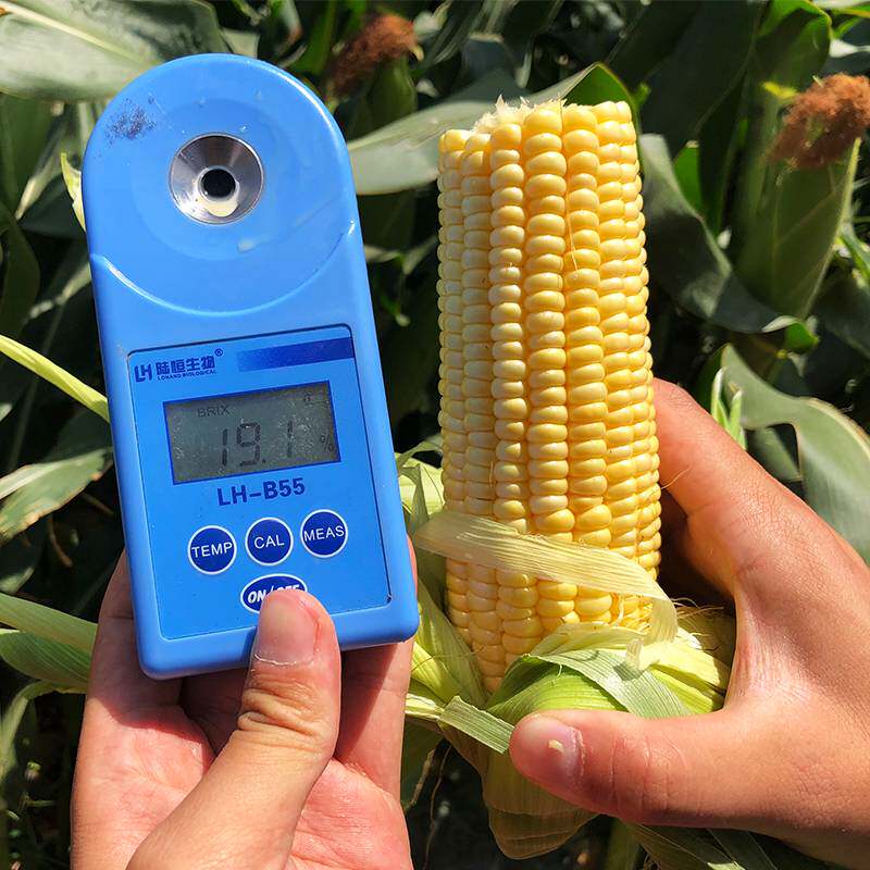 新鲜带壳水果甜玉米应当季新鲜蔬菜带壳甜多汁原产地现采摘速发,淘宝优惠券,粉丝福利购,淘宝优惠卷