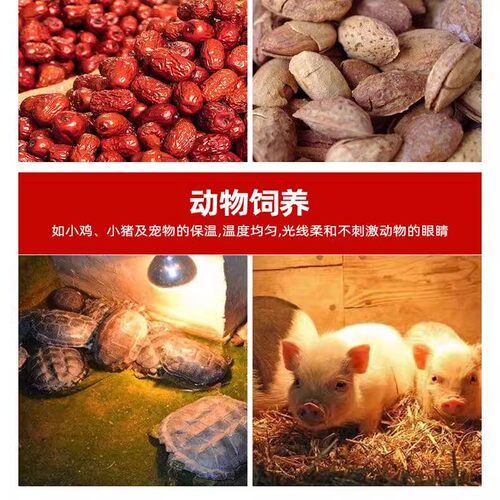 飞利浦高校实验加热化验室科研红外线灯泡耐热能量测试烘干燥烤灯 - 图3