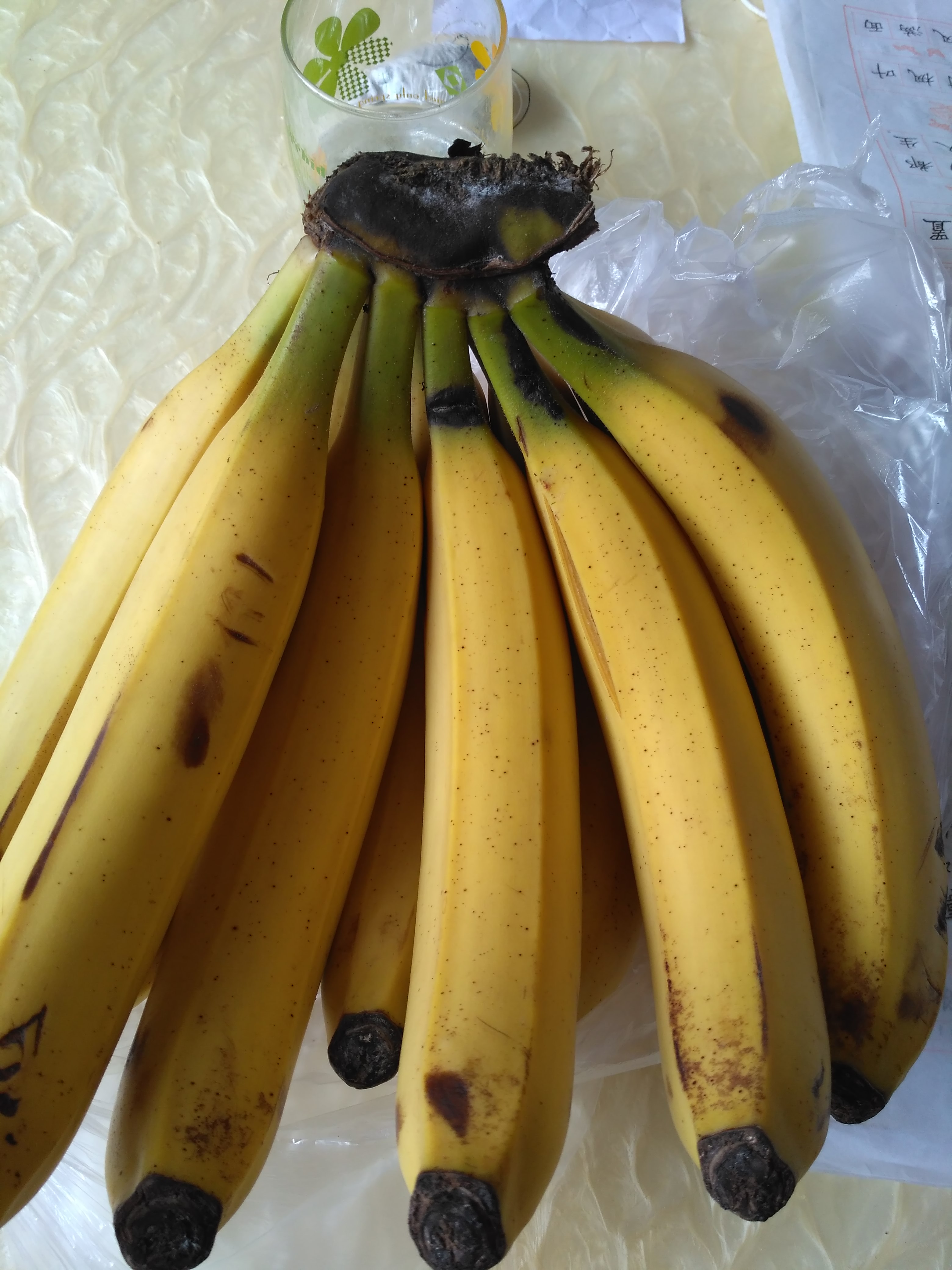 广东包邮香蕉新鲜香蕉海南香蕉甜糯香蕉深圳发货 500g-图1