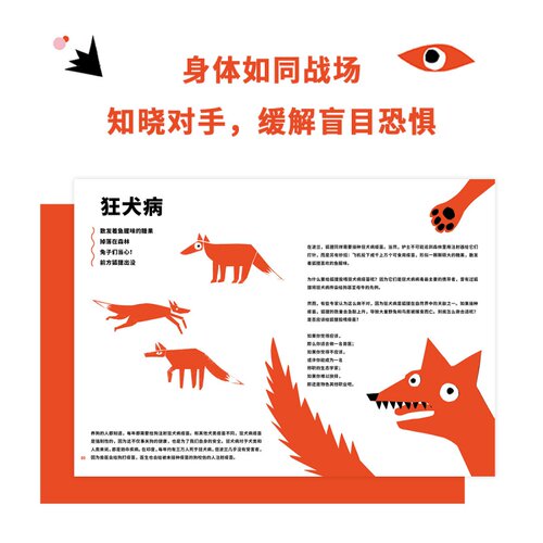 《瞧！这些病》读小库10-12岁科普读物 30种常见病一一摸清底细， - 图0