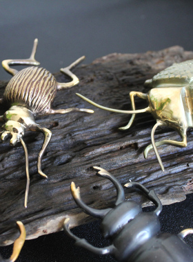 北欧正品进口黄铜昆虫甲虫天牛