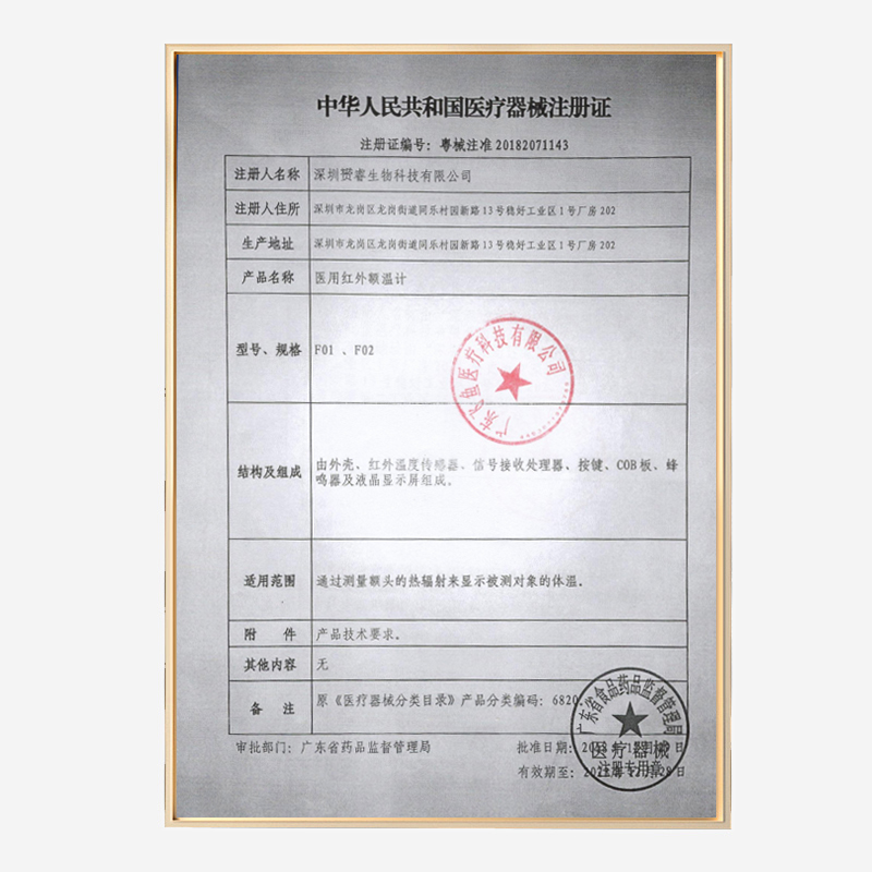 电子医用级体温枪家用儿童耳温枪 健康了医疗器械体温计类