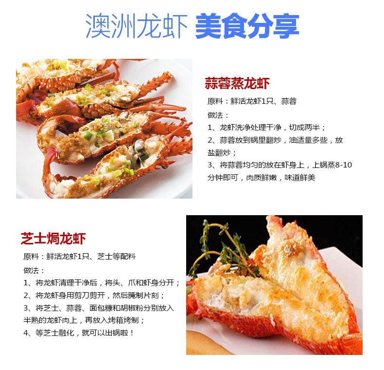 鲜活奥龙仔澳洲龙虾小青龙刺身食材即食澳龙小赤龙250克左右一只-图2