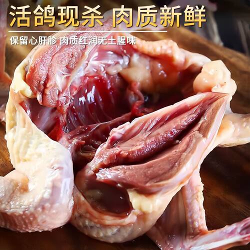 鸽子新鲜现杀冷冻乳鸽肉滋补炖汤生鲜老鸽子肉农家散养非闷杀老鸽 - 图2