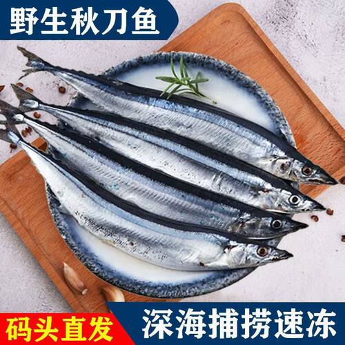 秋刀鱼新鲜正宗刀鱼海捕野生深海鱼日式鲜活冷冻海鲜烧烤食材直发 - 图1