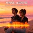 戈利狮单莲花RCA公转卡侬公音频线 音响调音台功放音频转接线