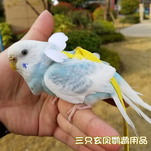 Подтяжки для выхода на улицу для тренировок, сверхлегкая барсетка с поводком