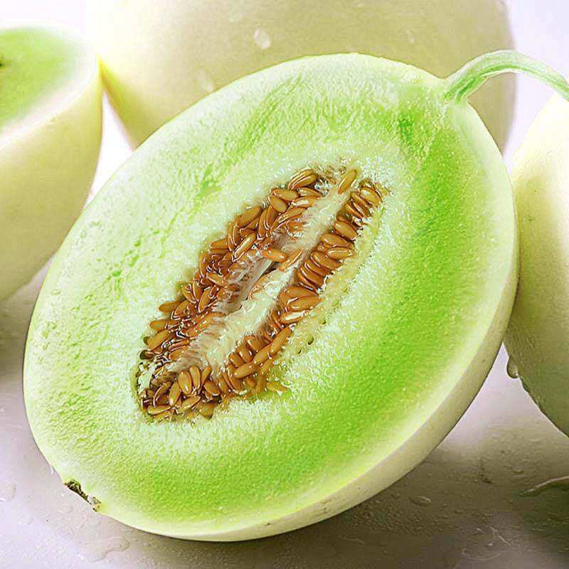 上海南汇玉菇甜瓜10斤青皮绿肉新鲜冰淇淋香瓜哈密瓜当季水果整箱