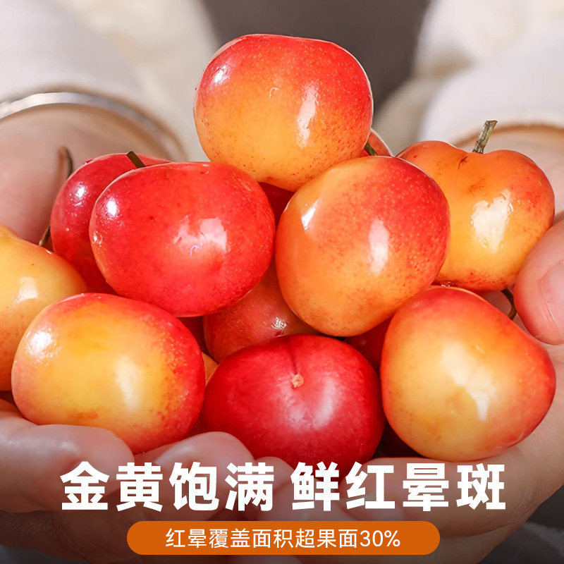 顺丰礼盒智利雷尼尔黄金车厘子5斤4j3进口高档新鲜水果樱桃包邮,淘宝优惠券,粉丝福利购,淘宝优惠卷