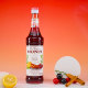 MONIN Santa Chia Flavored Syrup Glass Bottle