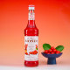 Molin MONIN candied haws-flavored syrup glass bottle 700ml coffee cocktail bartending juice raw material