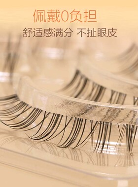 荔树小恶魔假睫毛5对装自然仿真