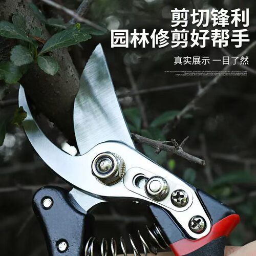 日本爆款原装进口修枝剪园艺剪树枝专用花木剪刀果树修剪神器优选 - 图1