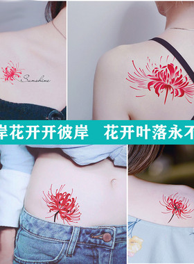 ins纹身贴防水少女清新锁骨手臂