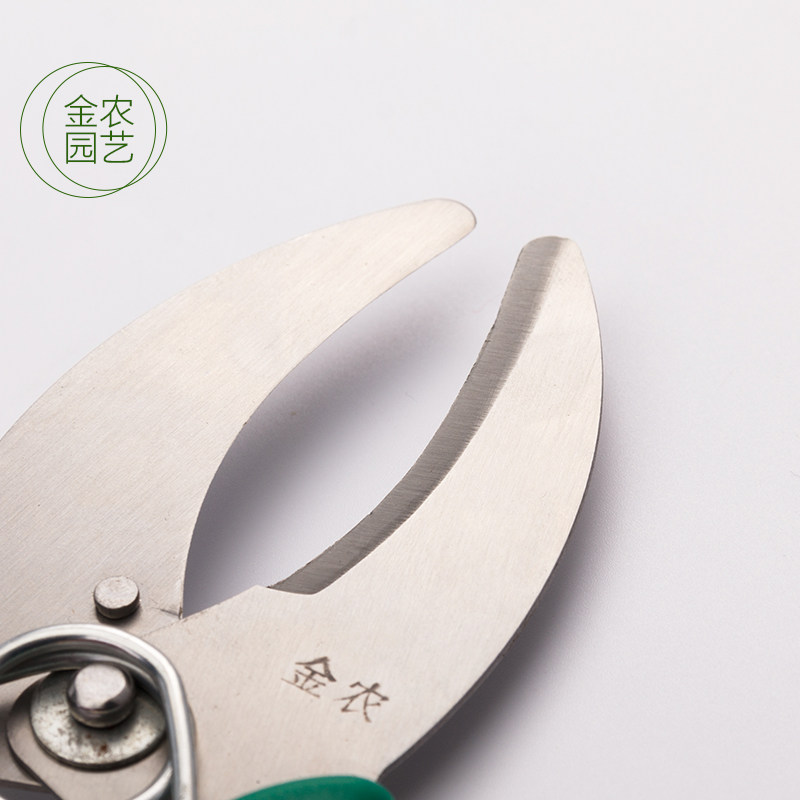环割剪刀环切刀环形剪葡萄环剥剪环枝剪环割刀果树环剥刀园艺剪刀,淘宝优惠券,粉丝福利购,淘宝优惠卷