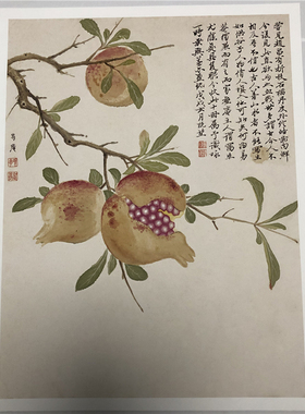 明项圣谟 花卉册页十开 名家字画真迹微喷复制装饰画临摹学习画稿