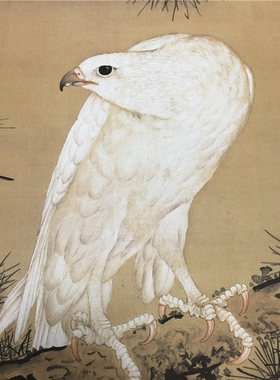 郎世宁-白鹘图 名家高清字画微喷复制装裱礼品挂画仿真客厅装饰画