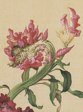 仙萼长春图花鸟画高清微喷复制