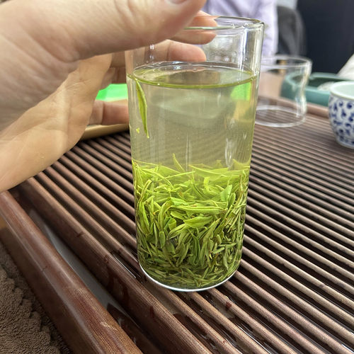 毛尖绿茶茶叶信阳毛尖自产自销2026年新茶雨前级茶农手工500g春茶 - 图2