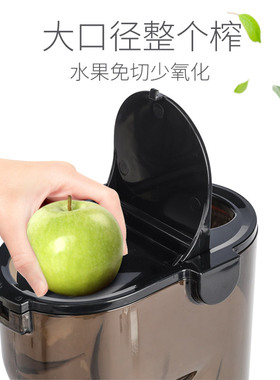 欧普伦榨汁机渣汁分离大口径商用