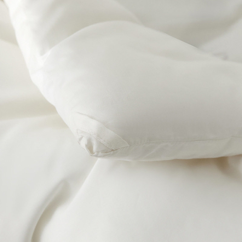 2025新款杜邦纤维冬被加厚长绒棉面料春秋被芯内胆抑菌80支保暖被,淘宝优惠券,粉丝福利购,淘宝优惠卷