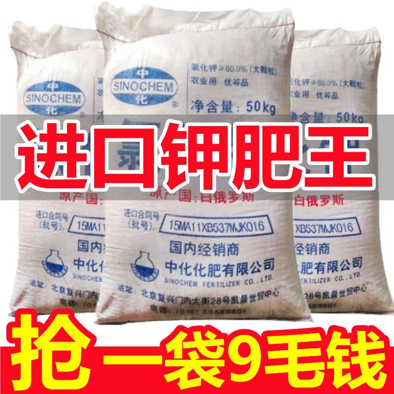 钾肥俄罗斯进口高钾肥大袋通用型肥料农用花卉果树蔬菜农用肥 - 图1