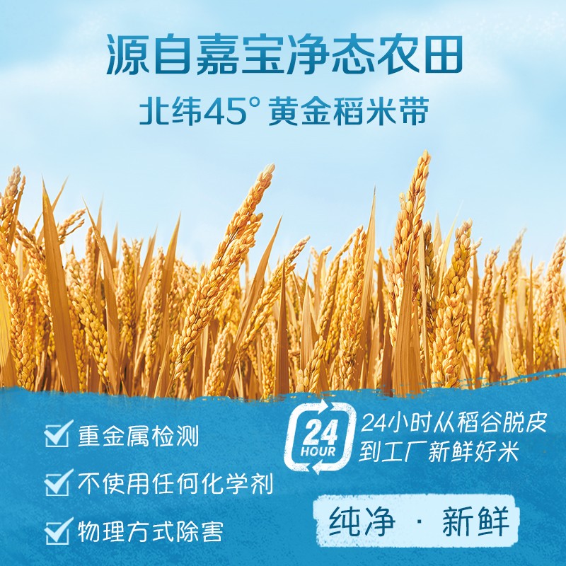 gerber嘉宝旗舰店Gerber嘉宝米粉 婴儿辅食宝宝营养米粉米糊 米粥 有机果泥组合装1