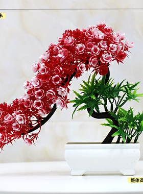 发财树盆栽室内好养大型招财树绿植物客厅办公室乔迁开业花卉盆景