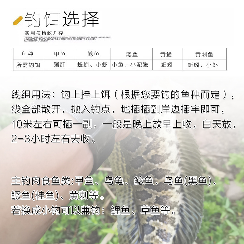 10g坠钓鱼神器自动钓鱼线组成品一体不锈钢弹簧手线地插黑鱼鲶鱼