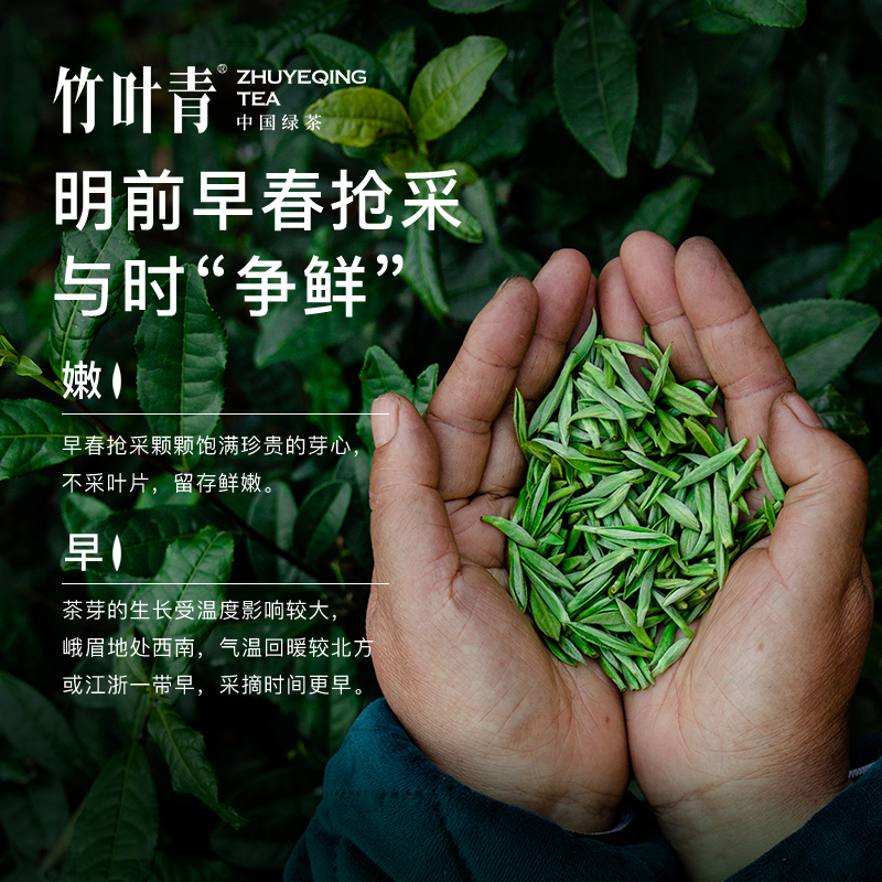 竹叶青茶叶25年新茶特级(品味)绿茶峨眉高山明前茶自己喝45g茶包 - 图0