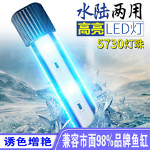 Super-bright LED fish tank diving lamp matching cylinder lamp aquarium waterproof lamp amphibious enhancing small and medium size water straw lamp
