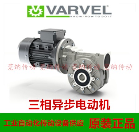 VARVEL电机T63B4 T71B4 T80B4 T90L4 T100B4 T112A4 132S4 T132M4 - 图2