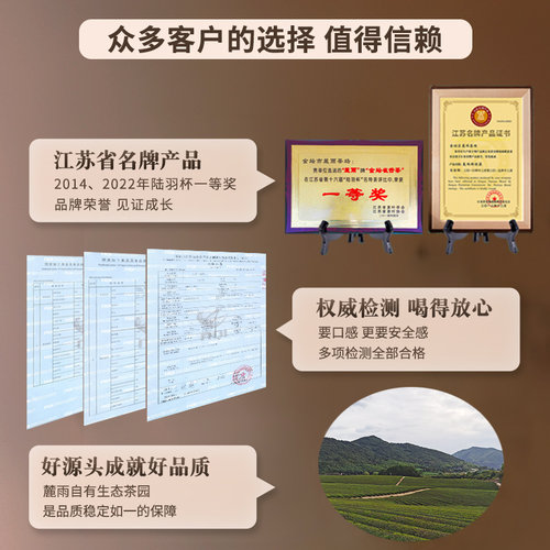 2026新茶上市金坛雀舌特级绿茶江苏常州茅山毛尖明前茶叶高档礼盒 - 图3