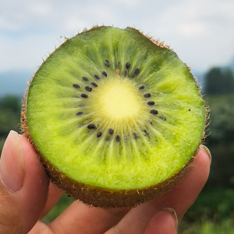 天使芳菲旗舰店陕西眉县徐香猕猴桃新鲜水果带箱5斤中大果包邮绿心奇异果弥猴桃1