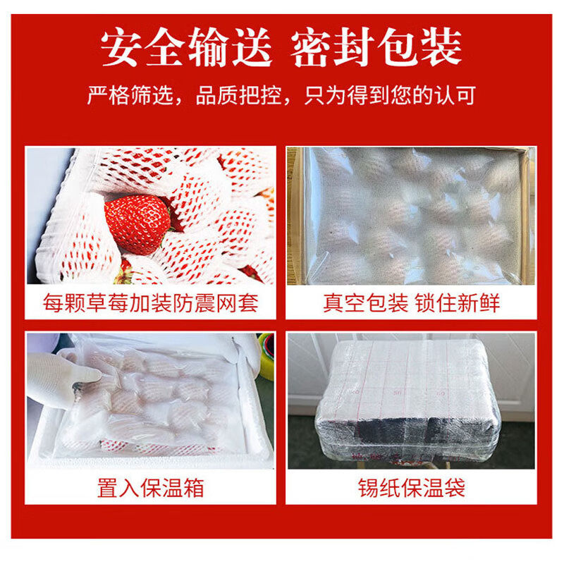 草莓新鲜水果礼盒5斤孕妇红颜奶油九九大99牛奶草莓整箱3顺丰包邮,淘宝优惠券,粉丝福利购,淘宝优惠卷