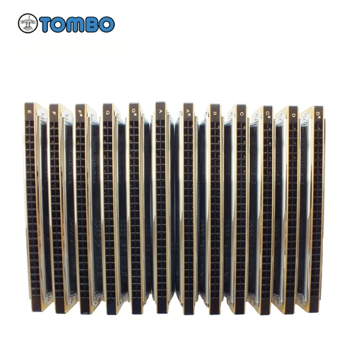Tongbao Tombo66624S Новичок для взрослых высокого уровня.